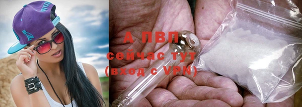 ешки Белокуриха