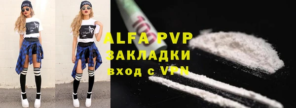 ешки Белокуриха