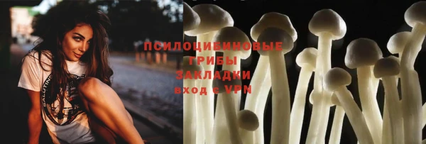 ешки Белокуриха